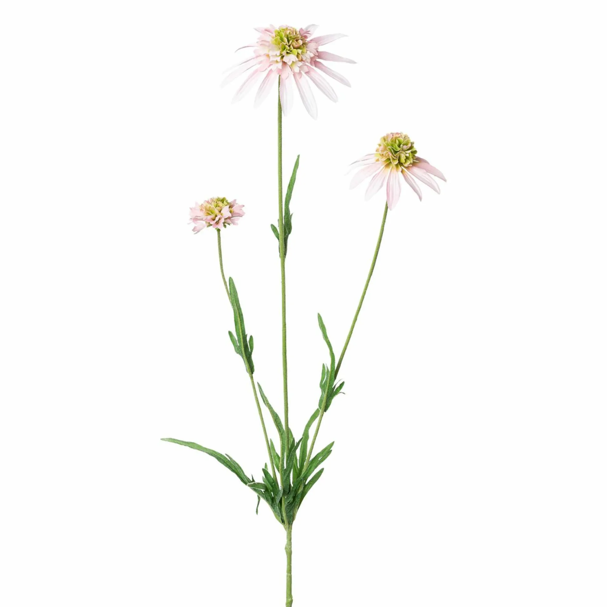 Kunstblume SONNENHUT