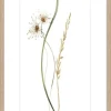 Kunstdruck WILD FLOWERS I