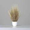 Kunstpflanze CALIFORNIA GRAS