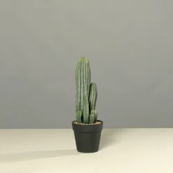 Kunstpflanze Kaktus