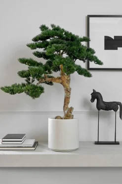 Kunstpflanze Kiefer-Bonsai