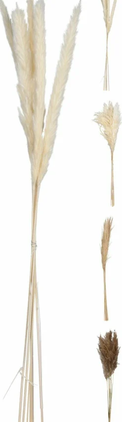 Kunstpflanze Pampasgras