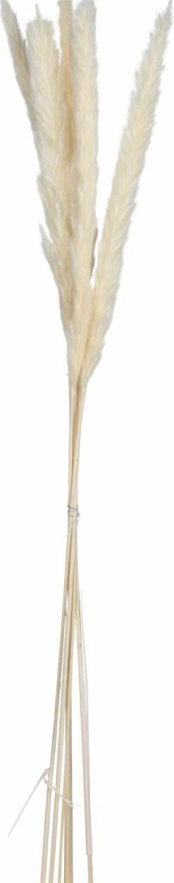 Kunstpflanze Pampasgras