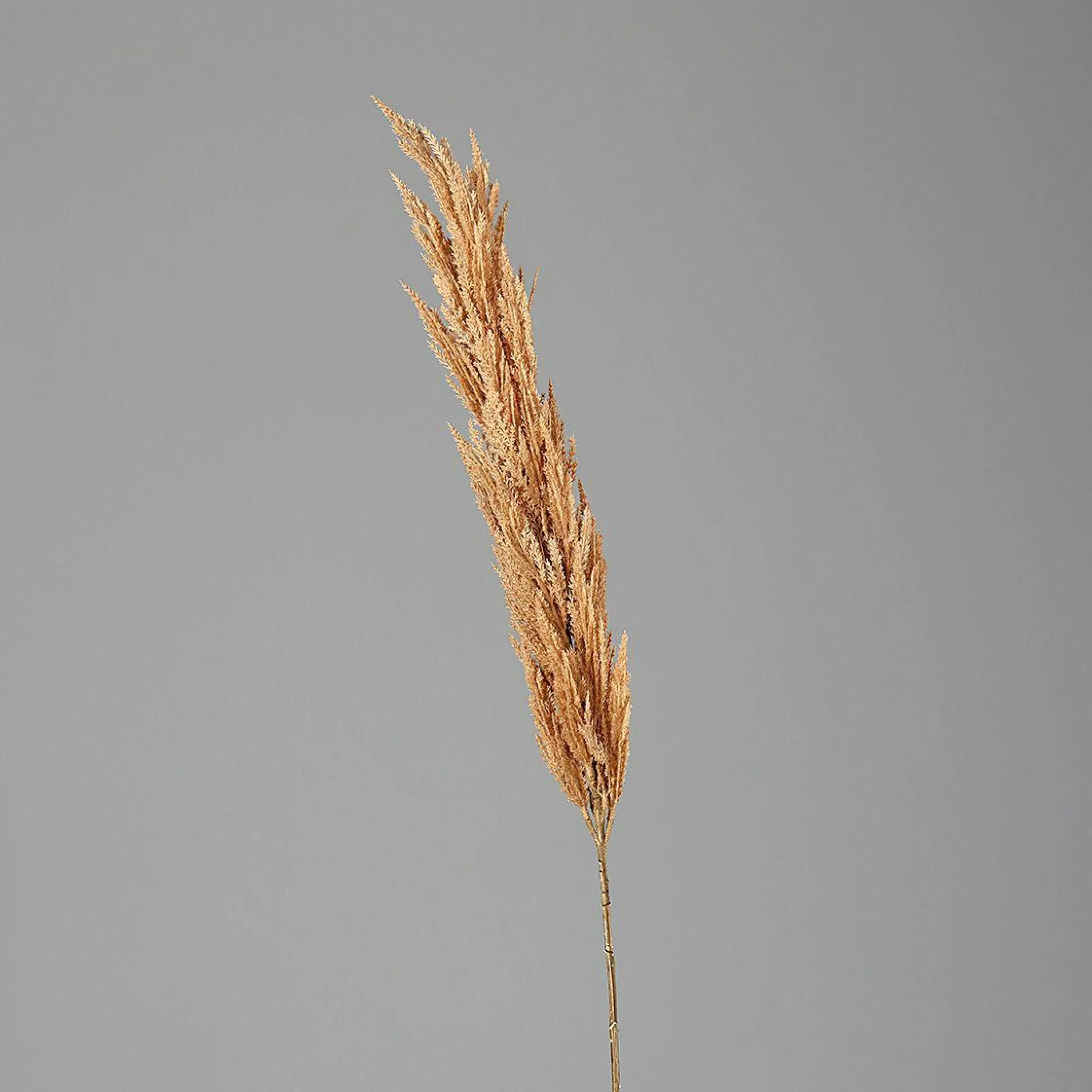 Kunstpflanze PAMPASWEDEL