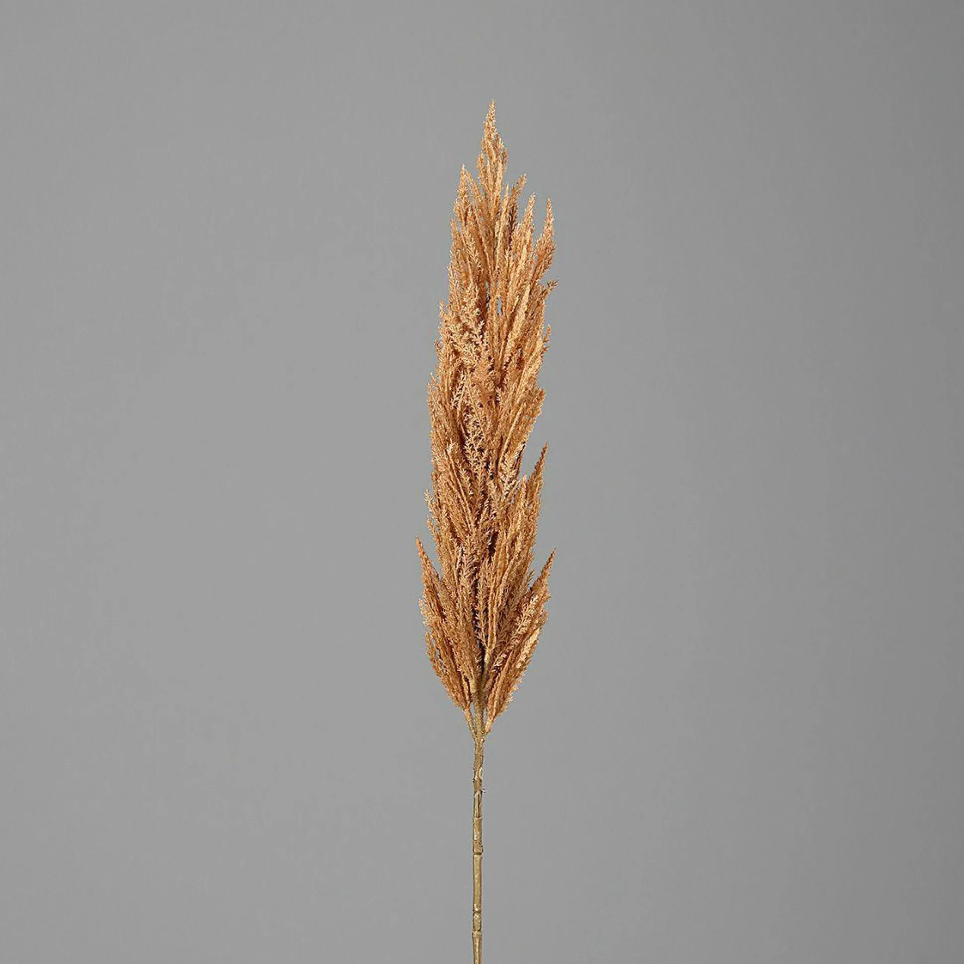 Kunstpflanze PAMPASWEDEL