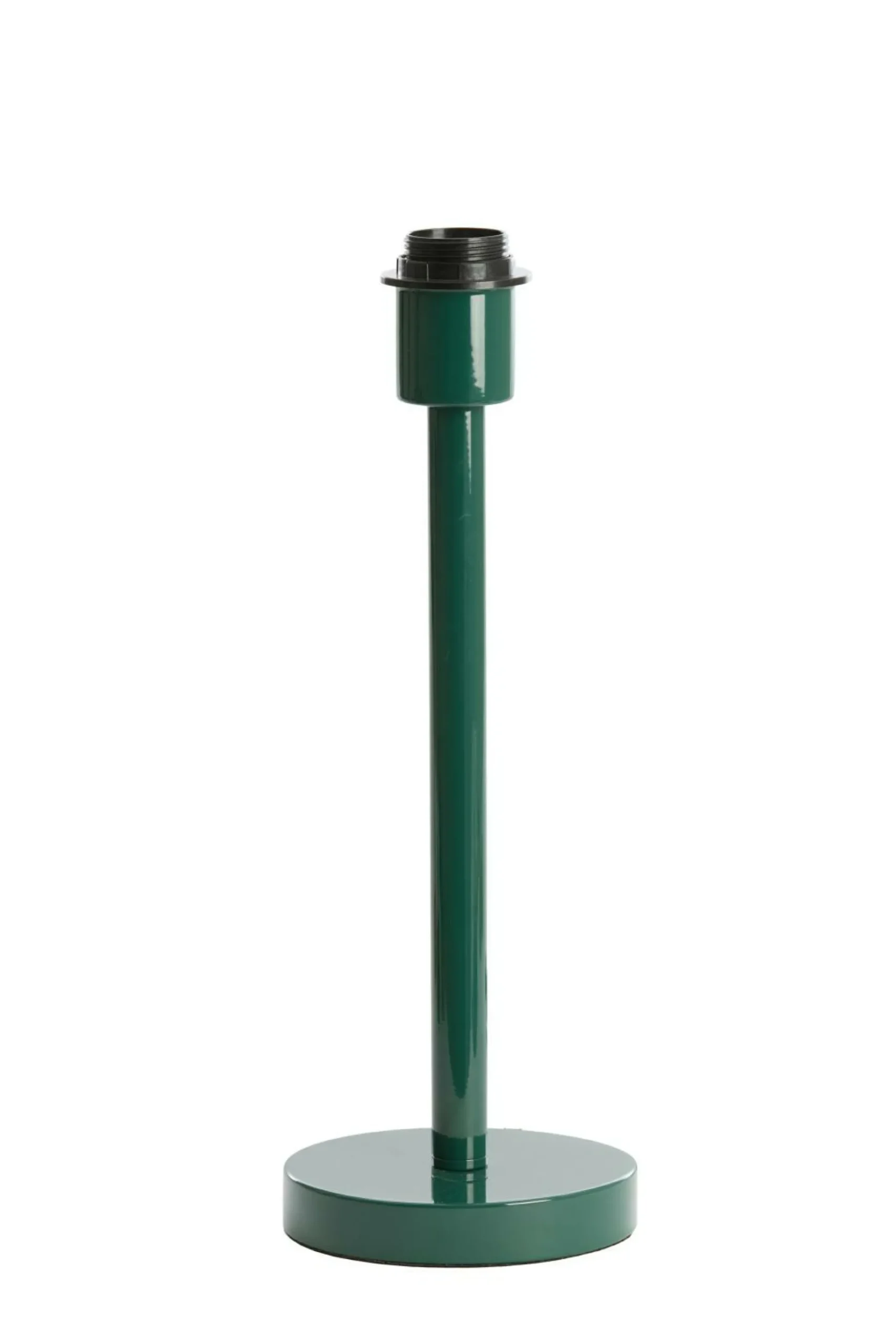 Lampenfuss WASHINGTON