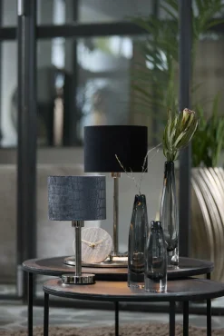 Lampenfuss WASHINGTON