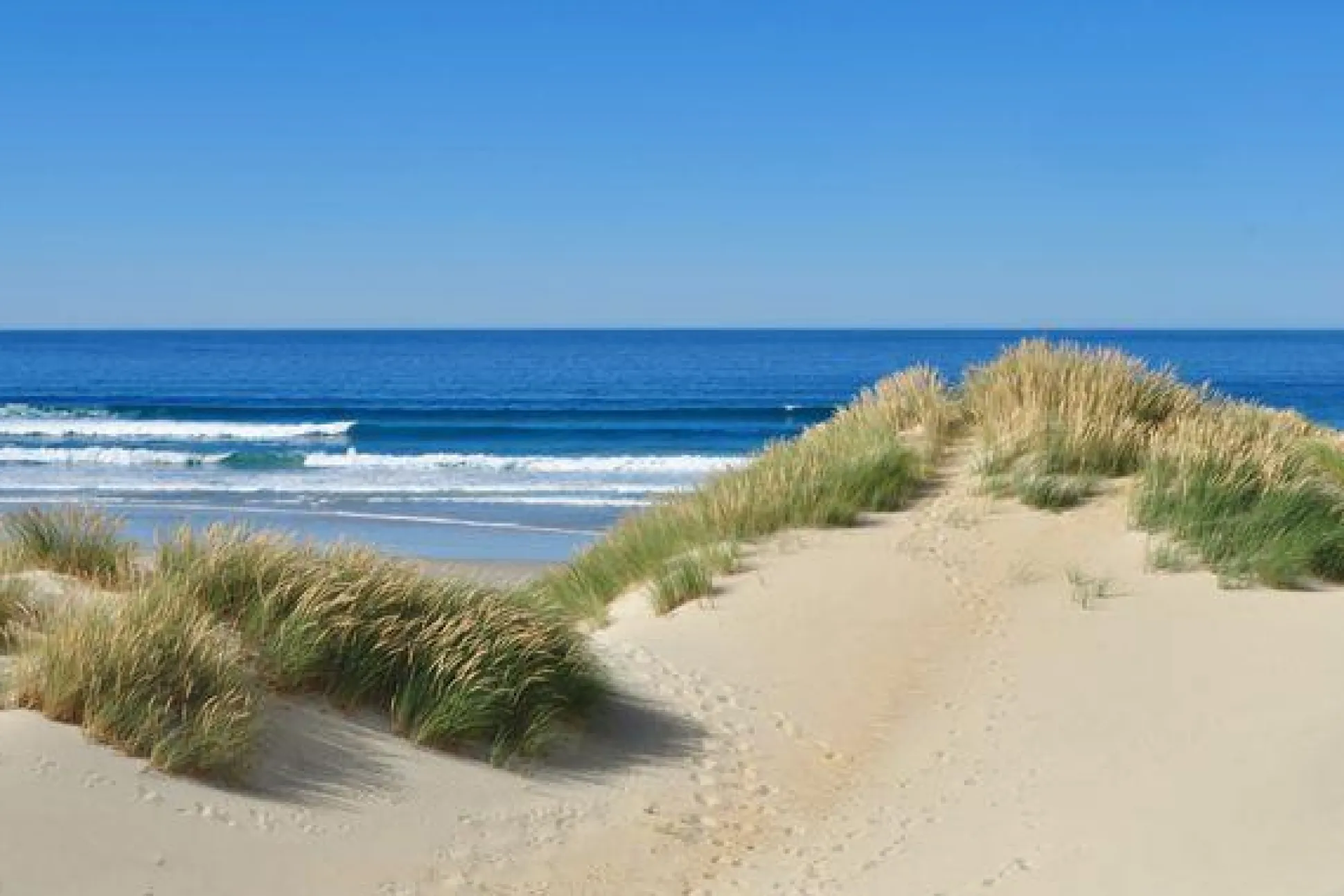 Leinwandbild DÜNEN AM MEER I