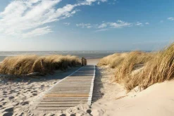 Leinwandbild HOLZWEG ZUM MEER