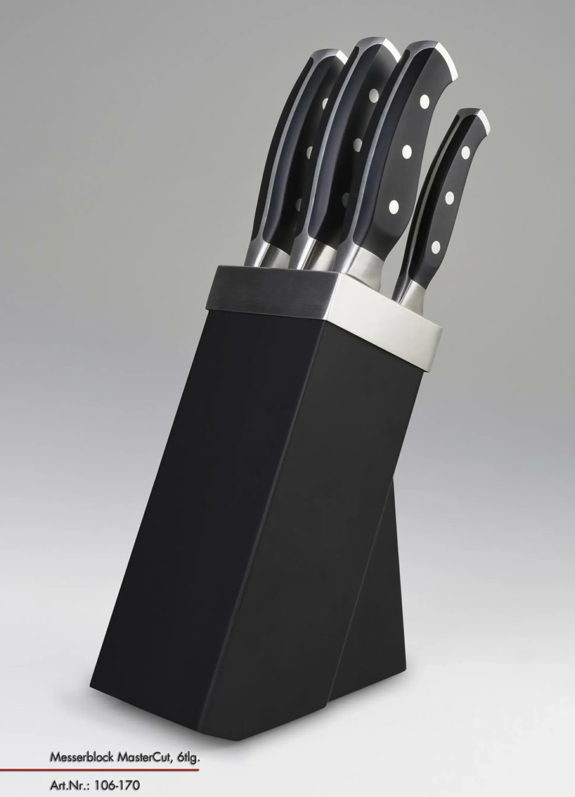 Messerblock MASTER CUT