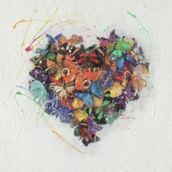 Originalbild COLOURFUL