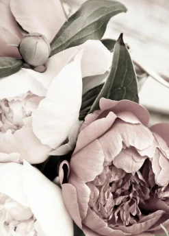 Posterboard OPLULENT 1