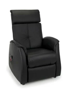 Relaxsessel himolla BIBERKOPF