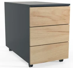 Rollcontainer DALOSA