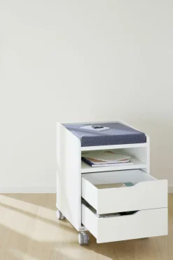 Rollcontainer PAIDI 2S