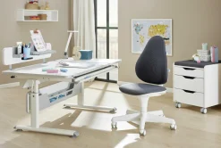 Rollcontainer PAIDI 2S