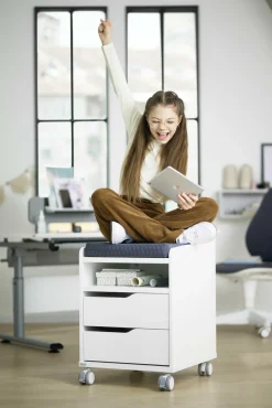 Rollcontainer PAIDI 2S