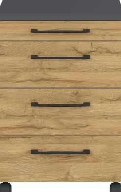 Rollcontainer PROFI 2.0