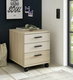 Rollcontainer vito ASSUME