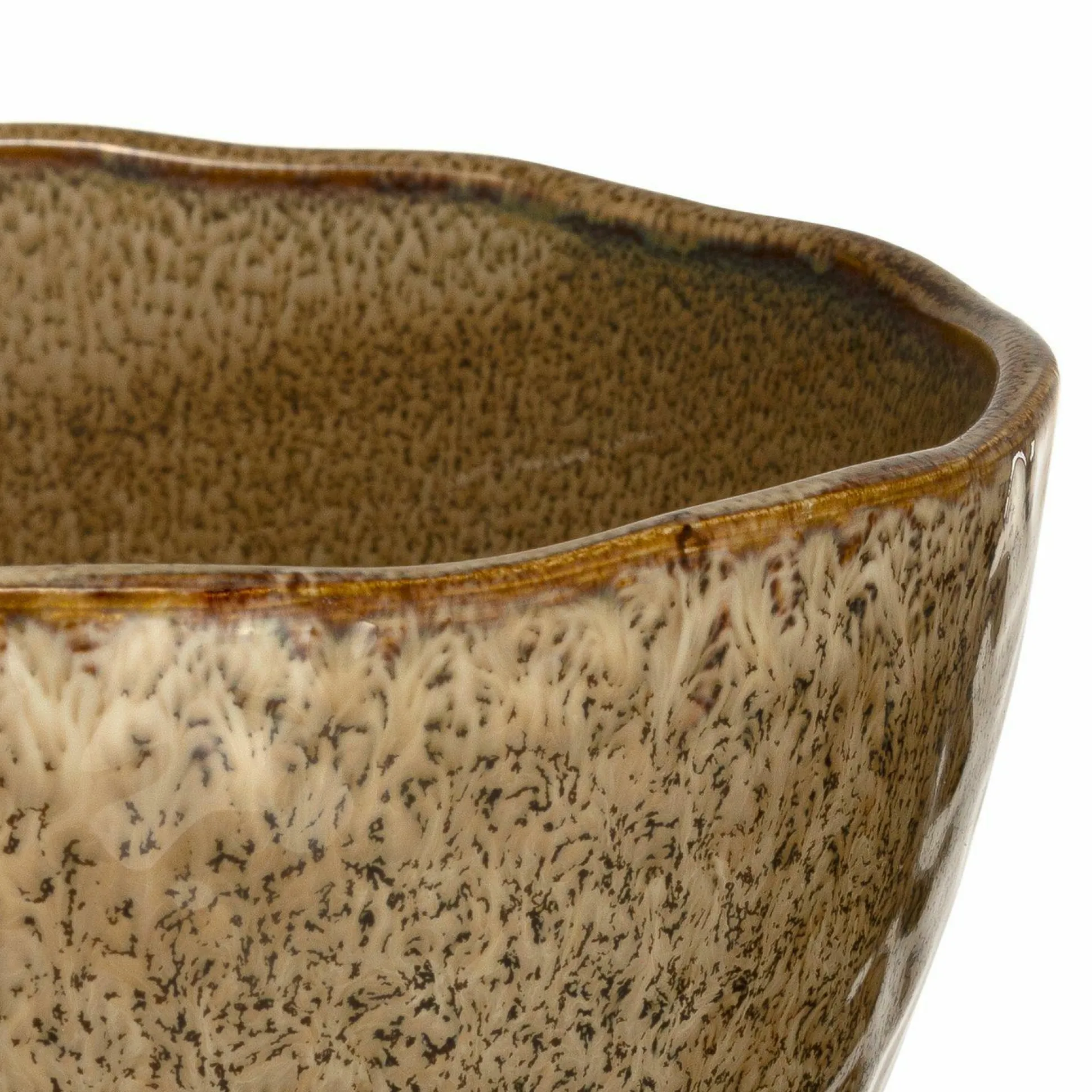 Schale LEONARDO MATERA