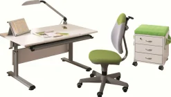 Schreibtisch PAIDI MARCO