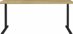 Schreibtisch PROFI 2.0