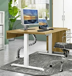 Schreibtisch vito VARY