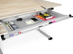 Schubkastenauszug PAIDI