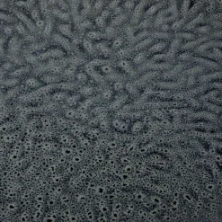 Speiseteller LEONARDO MATERA