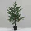 Tannenbaum
