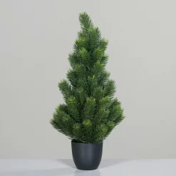 Tannenbaum