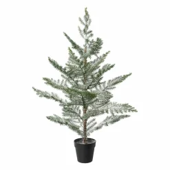 Tannenbaum