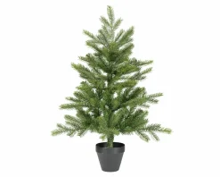 Tannenbaum GRANDIS