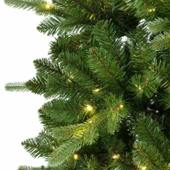 Tannenbaum KILLINGTON