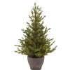 Tannenbaum LED
