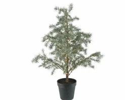 Tannenbaum LED