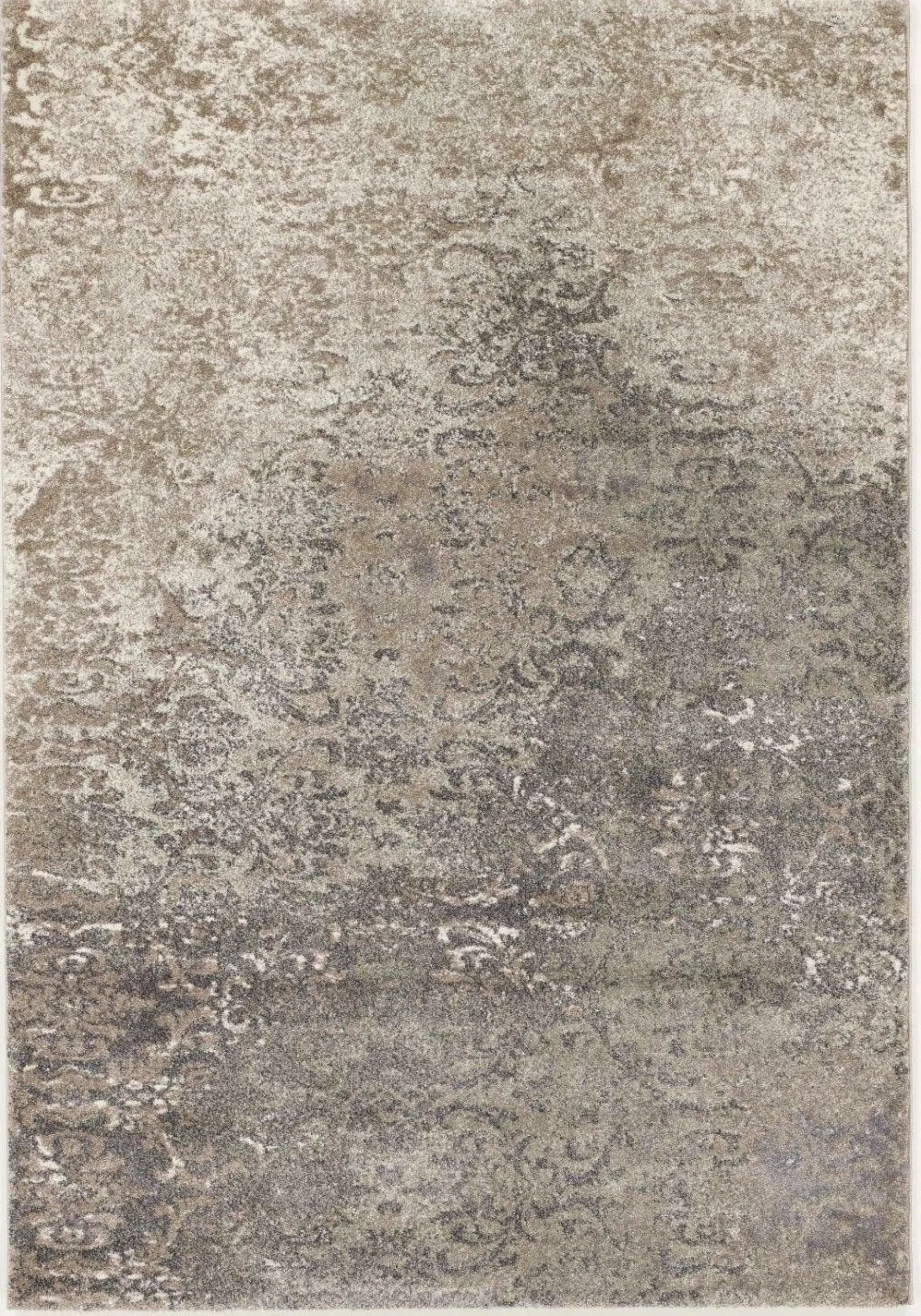 Teppich BUTTERFLY ADMIRAL