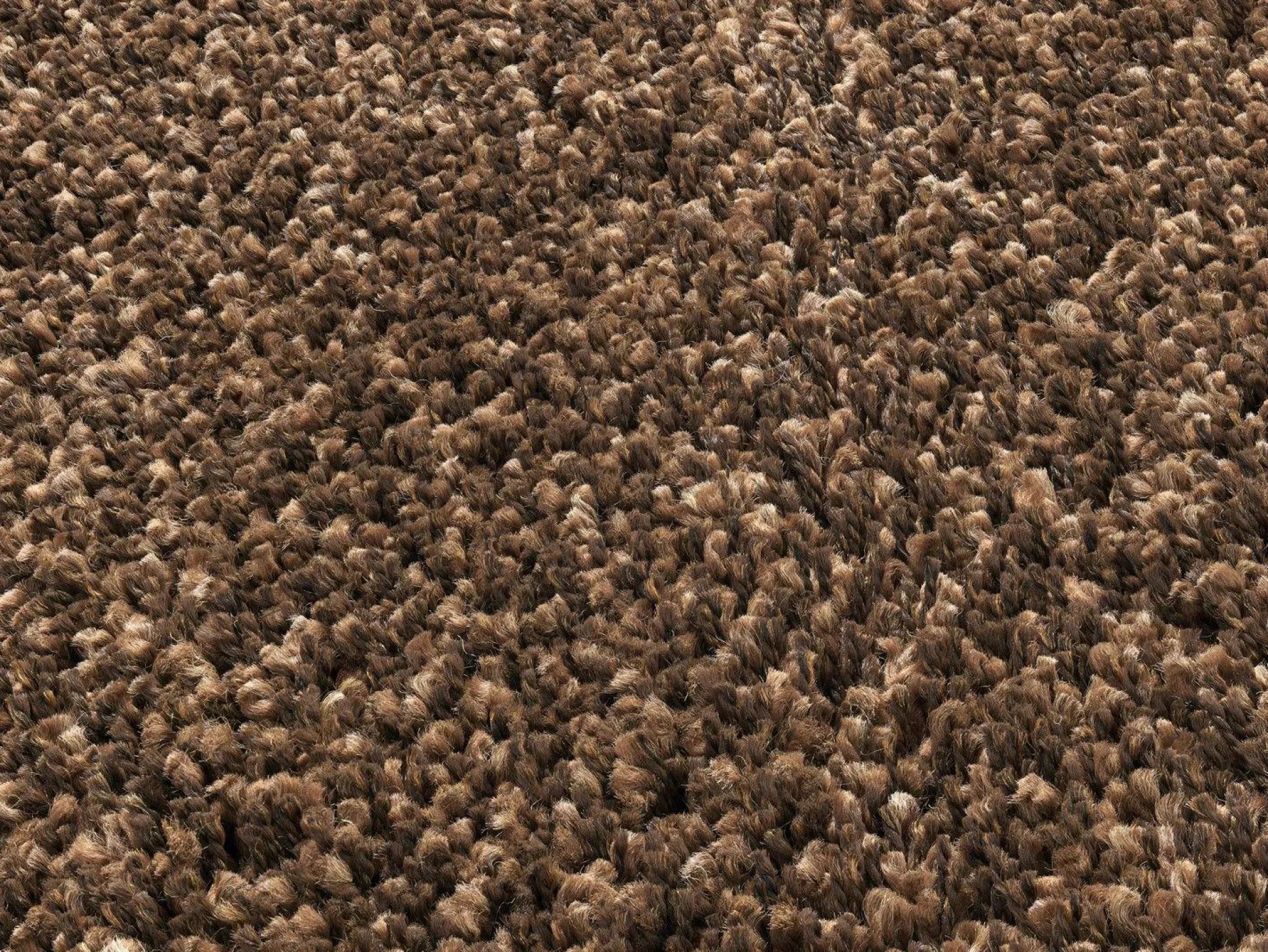 Teppich PHOENIX braun