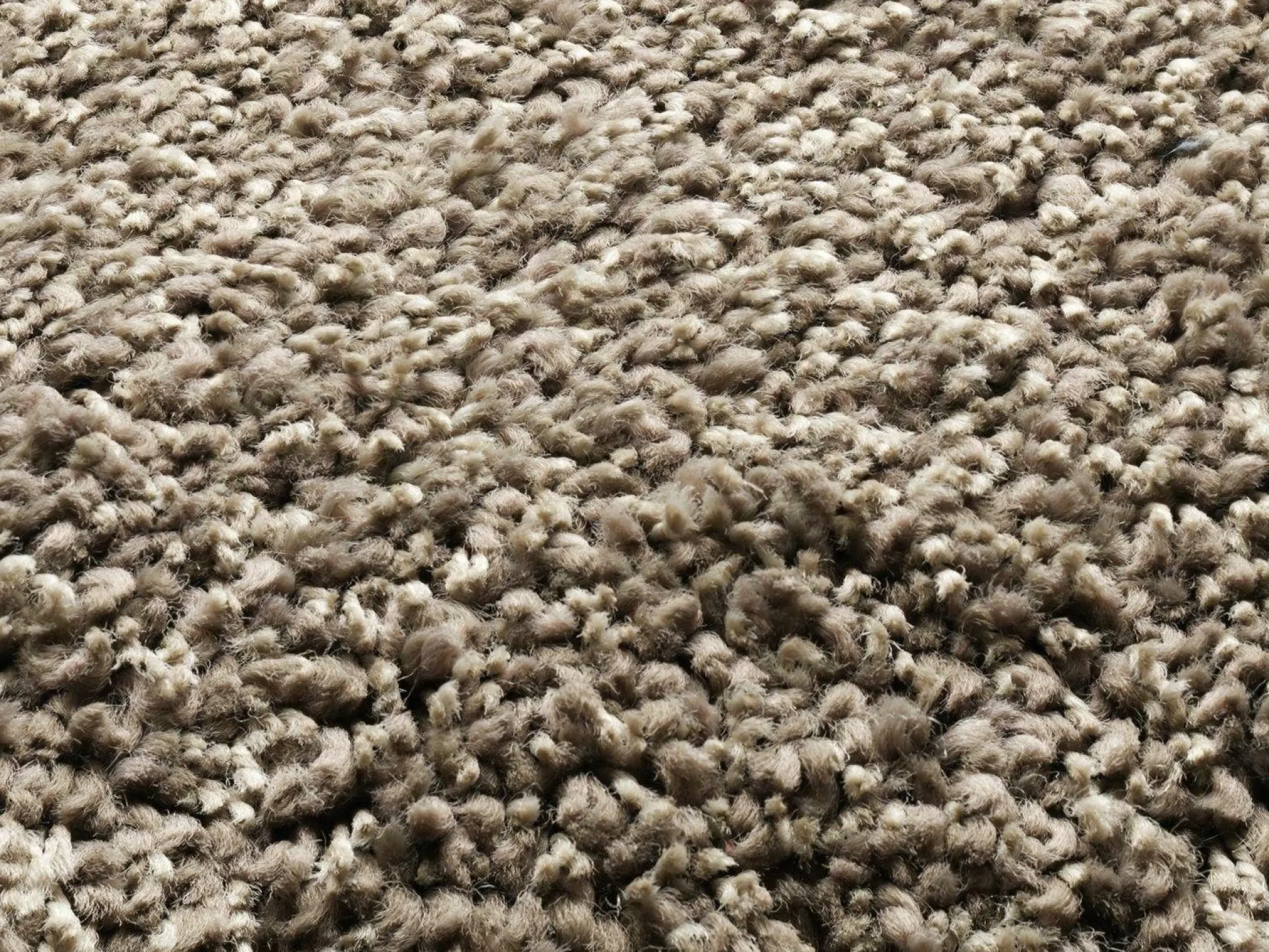 Teppich PHOENIX hellbraun