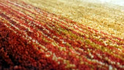 Teppich RAINBOW 1201 multi