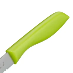 Vespermesser-Set WMF grün