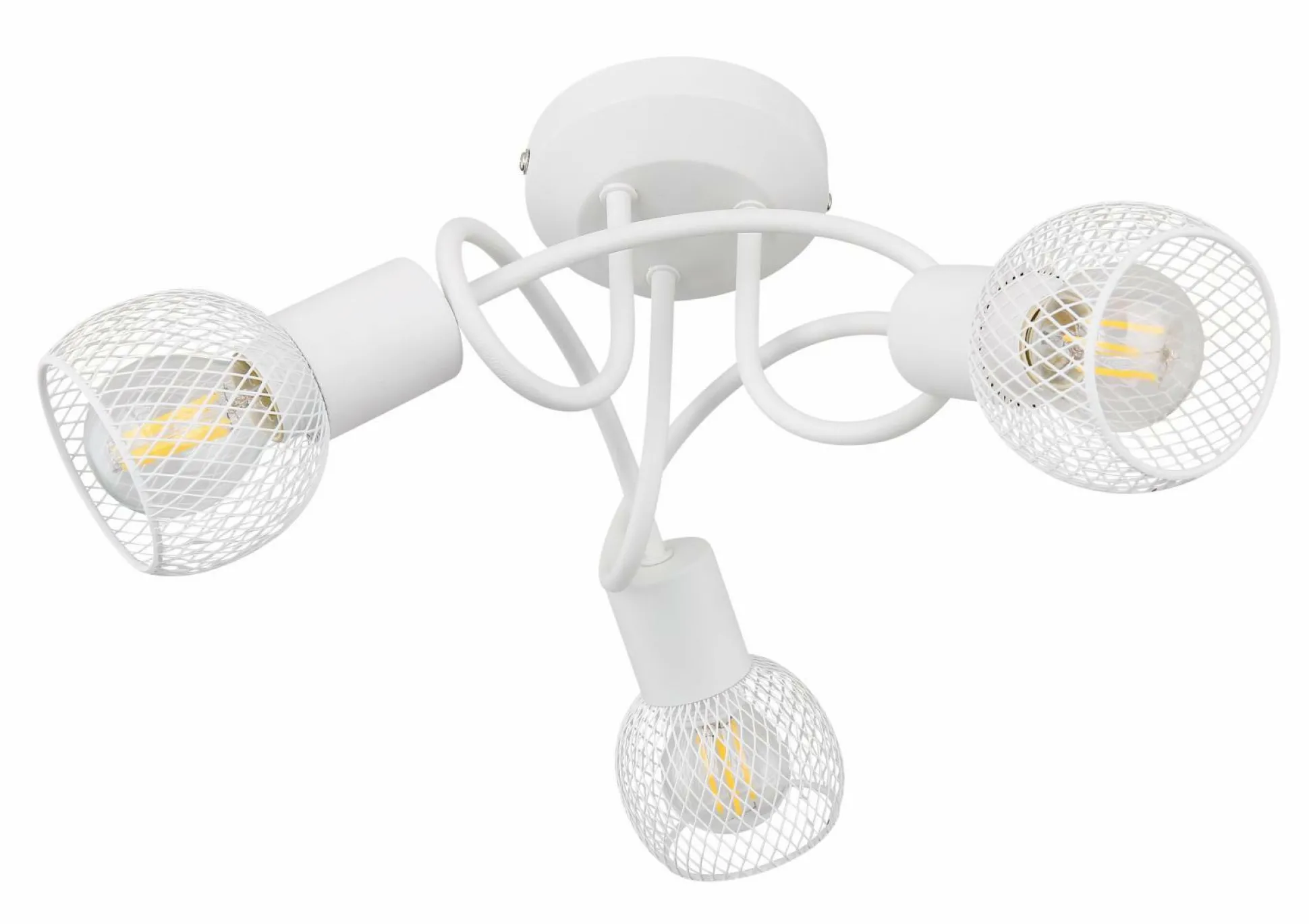 Wand-/Deckenspot FIASTRA