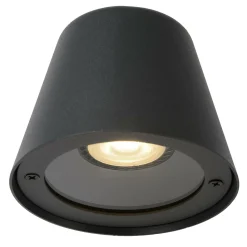 Wandleuchte DINGO-LED