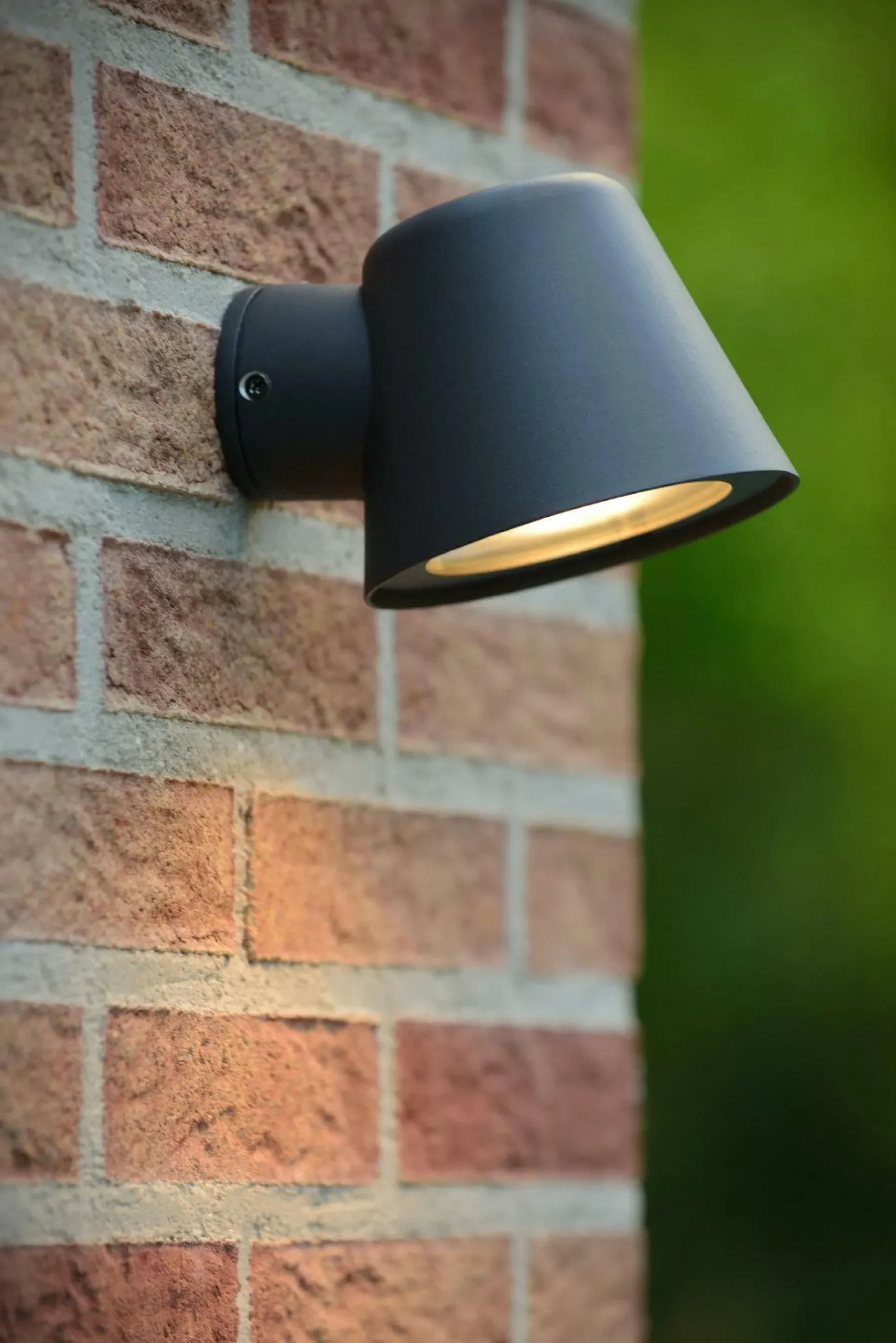 Wandleuchte DINGO-LED