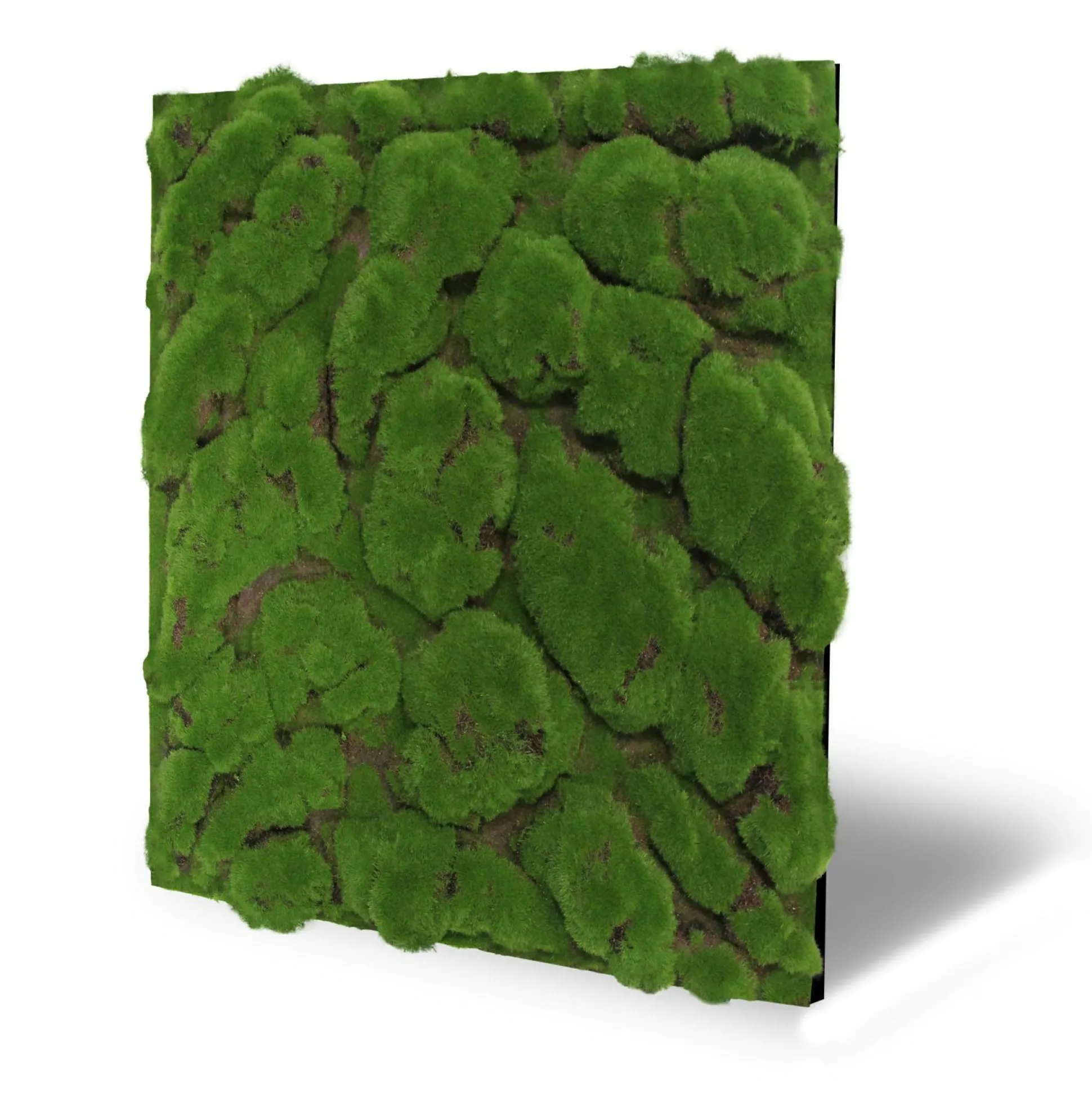 Wandpaneel MODULAR WALL