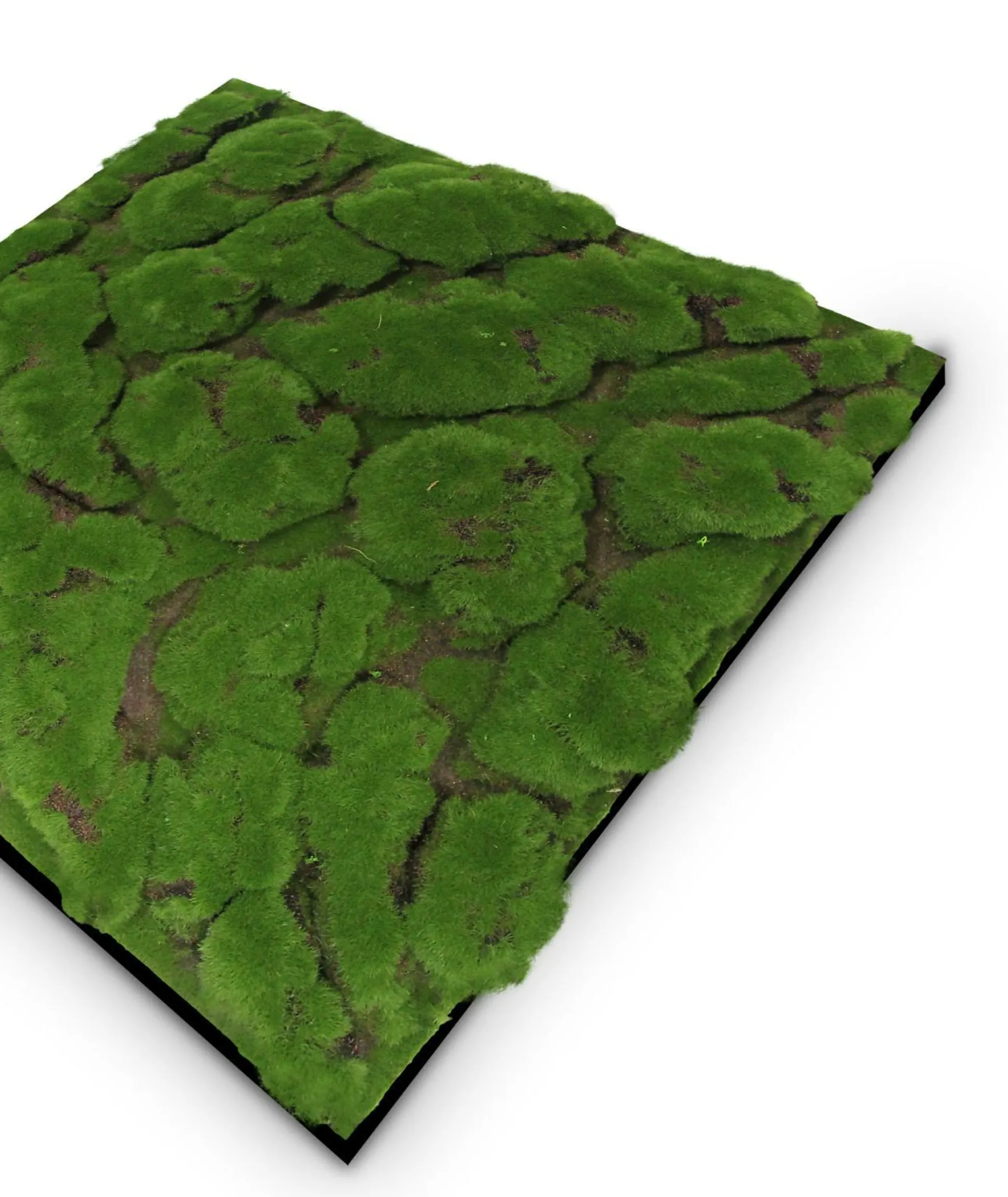 Wandpaneel MODULAR WALL