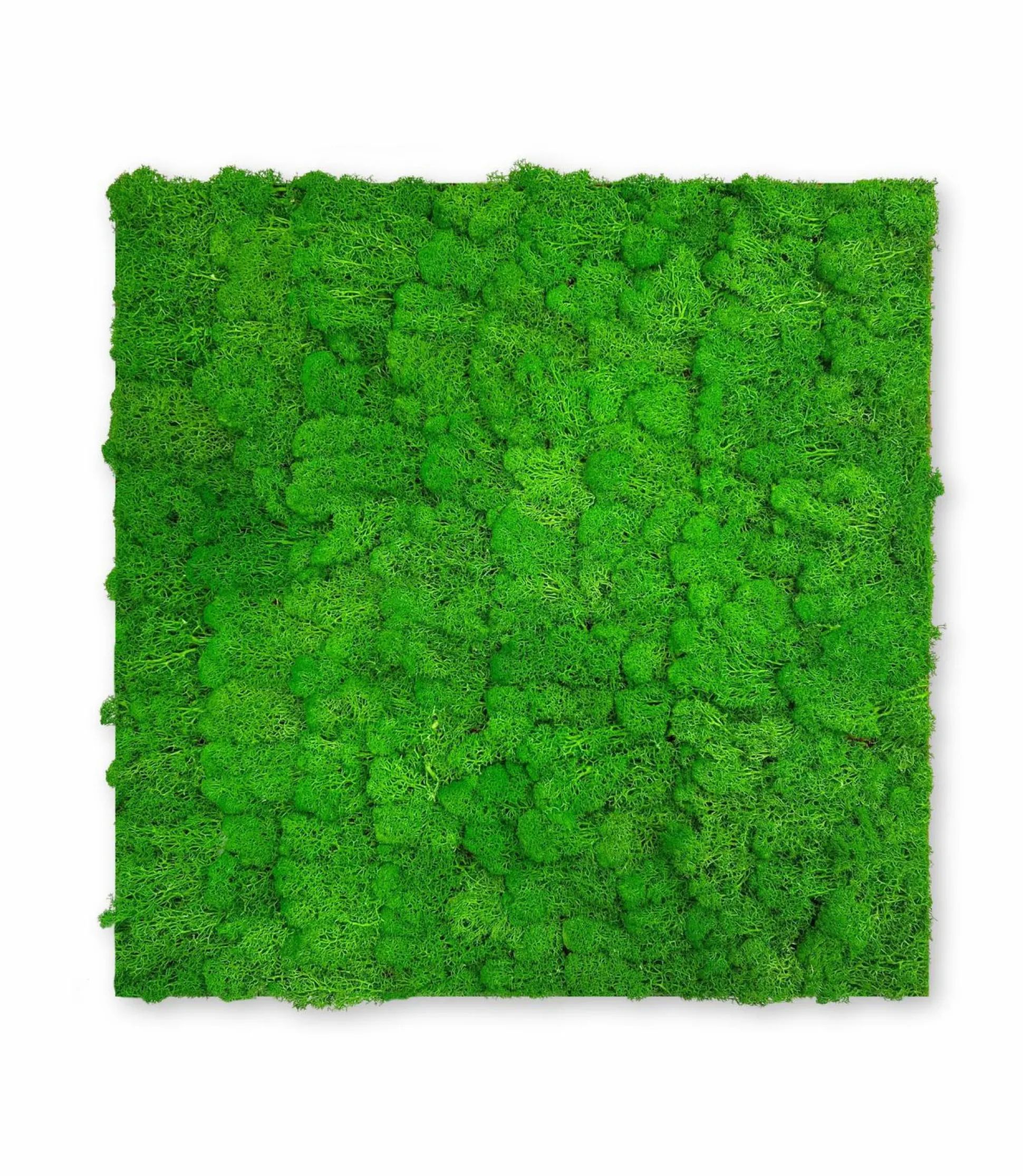 Wandpaneel MODULAR WALL