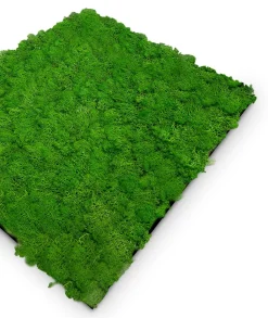 Wandpaneel MODULAR WALL