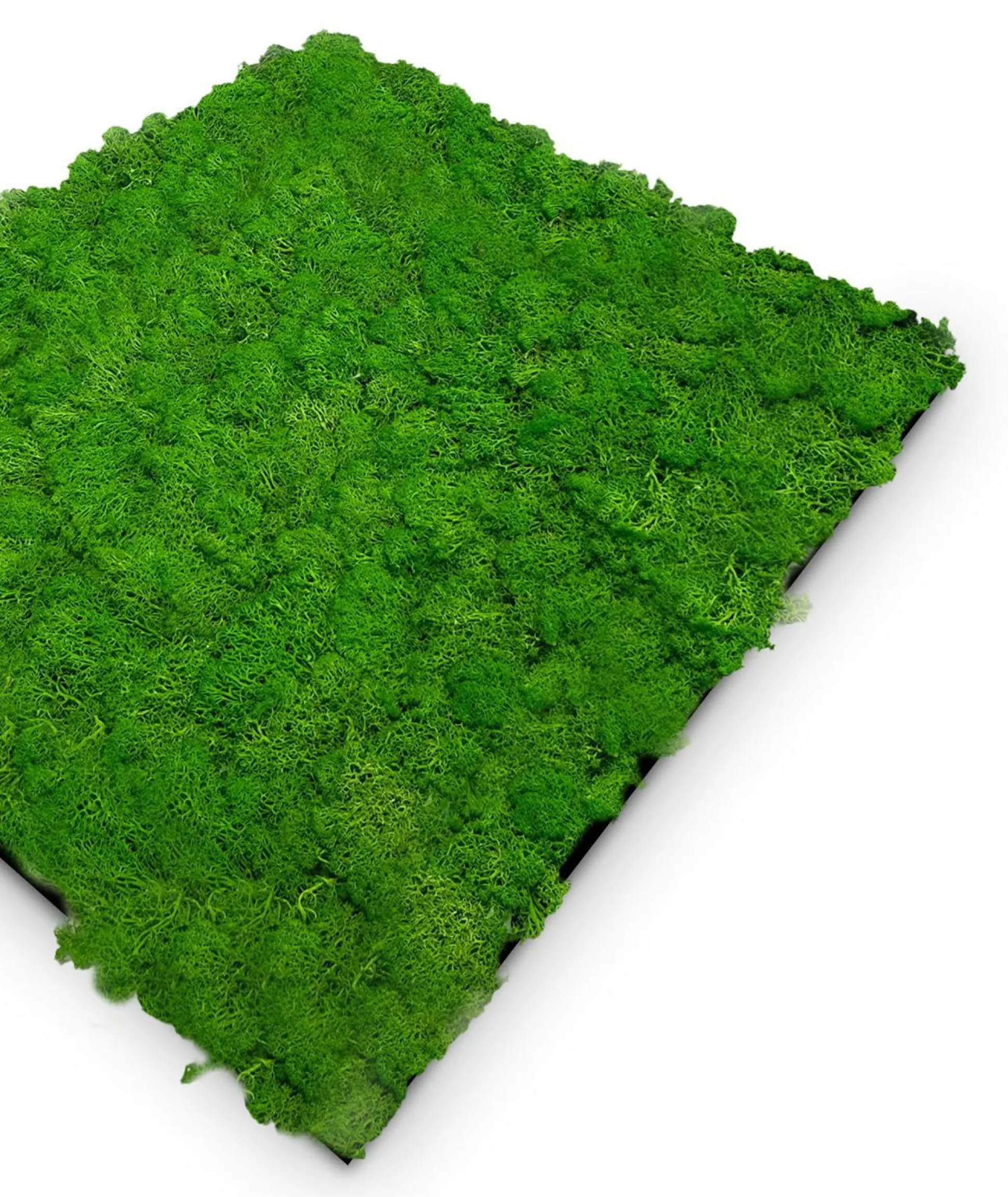 Wandpaneel MODULAR WALL