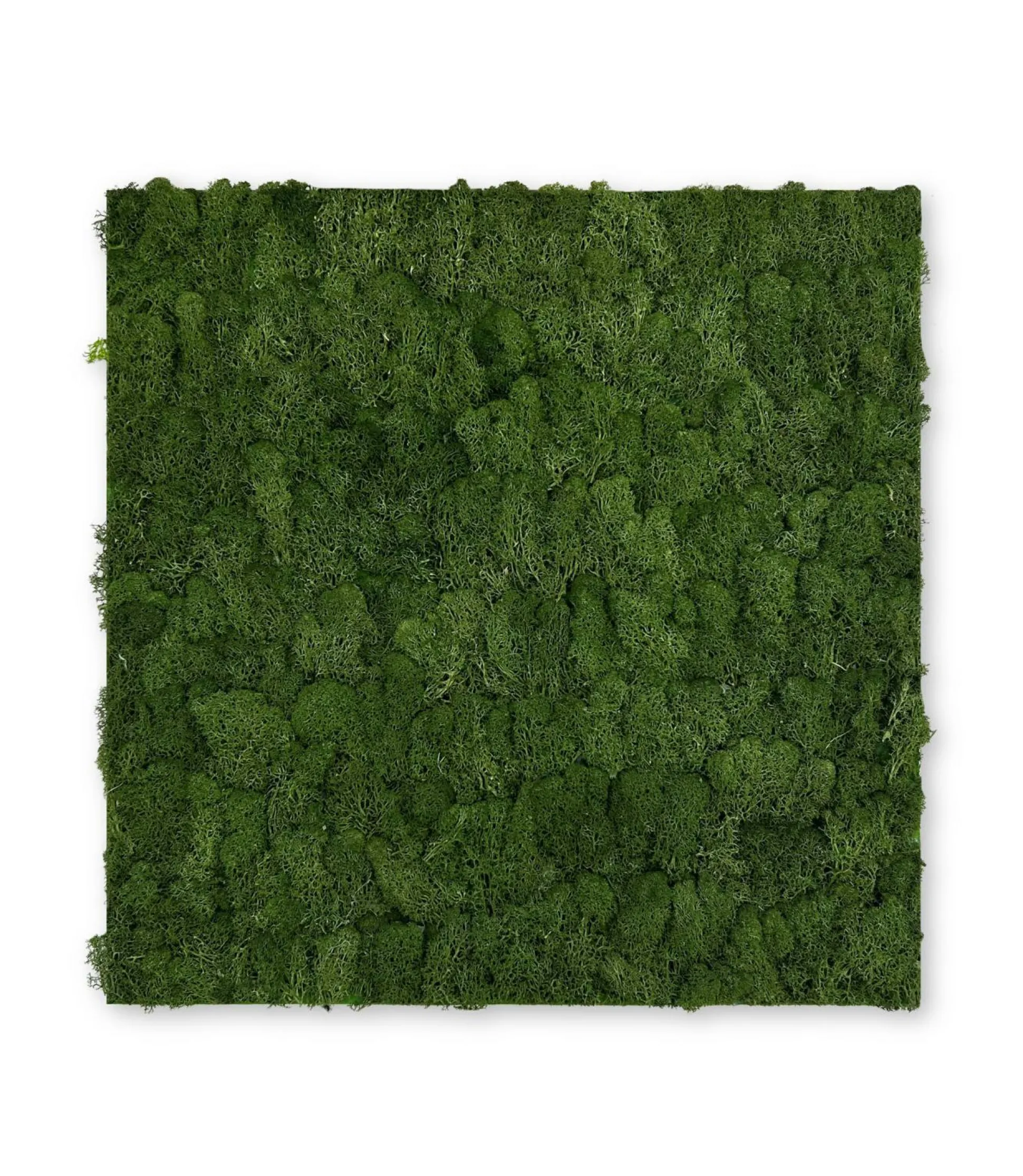 Wandpaneel MODULAR WALL